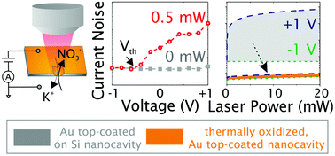 Graphical abstract: Asymmetric plasmonic induced ionic noise in metallic nanopores