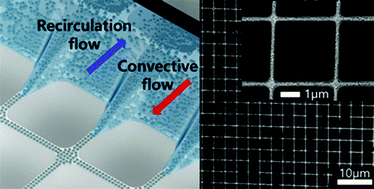 Graphical abstract: Fabrication of high aspect ratio nanogrid transparent electrodes via capillary assembly of Ag nanoparticles