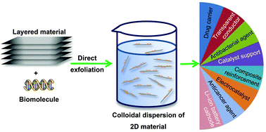 Graphical abstract: Biomolecule-assisted exfoliation and dispersion of graphene and other two-dimensional materials: a review of recent progress and applications