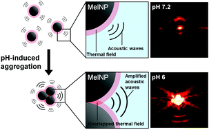 Graphical abstract: pH-Induced aggregated melanin nanoparticles for photoacoustic signal amplification