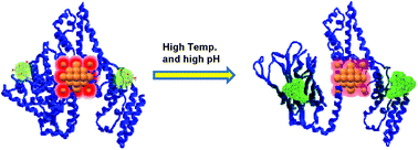 Graphical abstract: A gold nanocluster-based fluorescent probe for simultaneous pH and temperature sensing and its application to cellular imaging and logic gates