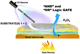 Graphical abstract: Programmable bioelectronics in a stimuli-encoded 3D graphene interface