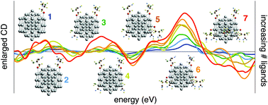 Graphical abstract: How to control optical activity in organic–silver hybrid nanoparticles