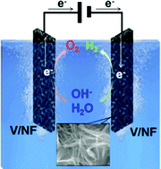 Graphical abstract: Vanadium nanobelts coated nickel foam 3D bifunctional electrode with excellent catalytic activity and stability for water electrolysis