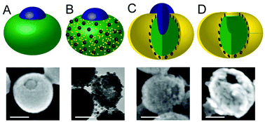 Graphical abstract: Magnetically-responsive silica–gold nanobowls for targeted delivery and SERS-based sensing