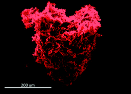 Graphical abstract: Formation of 3D graphene foams on soft templated metal monoliths