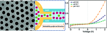 Graphical abstract: Biomimetic heterogeneous multiple ion channels: a honeycomb structure composite film generated by breath figures