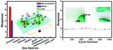 Graphical abstract: Hierarchical graphene–polyaniline nanocomposite films for high-performance flexible electronic gas sensors