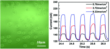 Graphical abstract: van der Waals epitaxy and photoresponse of two-dimensional CdSe plates