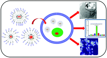 Graphical abstract: Glyco-gold nanoparticle shapes enhance carbohydrate–protein interactions in mammalian cells