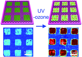 Graphical abstract: Charge transport-driven selective oxidation of graphene