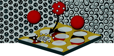 Graphical abstract: Showing particles their place: deterministic colloid immobilization by gold nanomeshes