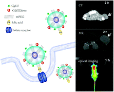 Graphical abstract: Multifunctional gold nanocomposites designed for targeted CT/MR/optical trimodal imaging of human non-small cell lung cancer cells