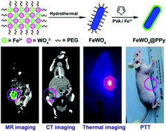 Graphical abstract: Polypyrrole-encapsulated iron tungstate nanocomposites: a versatile platform for multimodal tumor imaging and photothermal therapy
