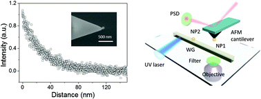 Graphical abstract: Gap controlled plasmon-dielectric coupling effects investigated with single nanoparticle-terminated atomic force microscope probes