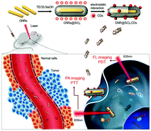 Graphical abstract: Gold nanorod@silica-carbon dots as multifunctional phototheranostics for fluorescence and photoacoustic imaging-guided synergistic photodynamic/photothermal therapy