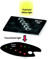 Graphical abstract: Hybridization between nanocavities for a polarimetric color sorter at the sub-micron scale