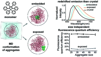 Graphical abstract: Unraveling the aggregation effect on amorphous phase AIE luminogens: a computational study