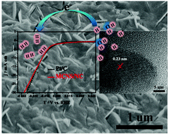 Graphical abstract: Ultra-efficient electrocatalytic hydrogen evolution at one-step carbonization generated molybdenum carbide nanosheets/N-doped carbon