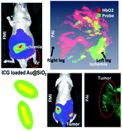 Graphical abstract: Precise diagnosis in different scenarios using photoacoustic and fluorescence imaging with dual-modality nanoparticles