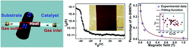 Graphical abstract: A rational design for the separation of metallic and semiconducting single-walled carbon nanotubes using a magnetic field