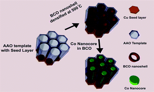 Graphical abstract: Diameter-dependent multiferroic functionality in hybrid core/shell NWs