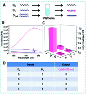 Graphical abstract: A label-free and enzyme-free system for operating various logic devices using poly(thymine)-templated CuNPs and SYBR Green I as signal transducers