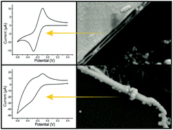 Graphical abstract: Defining the origins of electron transfer at screen-printed graphene-like and graphite electrodes: MoO2 nanowire fabrication on edge plane sites reveals electrochemical insights