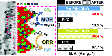 Graphical abstract: Ternary dendritic nanowires as highly active and stable multifunctional electrocatalysts