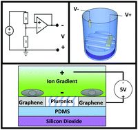 Graphical abstract: Directing lineage specification of human mesenchymal stem cells by decoupling electrical stimulation and physical patterning on unmodified graphene