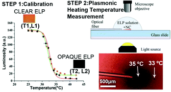 Graphical abstract: Dynamic visualization of photothermal heating by gold nanocages using thermoresponsive elastin like polypeptides