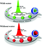 Graphical abstract: Beneficial effects of water in the colloidal synthesis of InP/ZnS core–shell quantum dots for optoelectronic applications