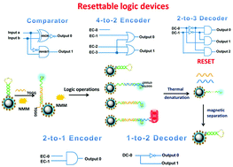 Graphical abstract: An enzyme-free and resettable platform for the construction of advanced molecular logic devices based on magnetic beads and DNA