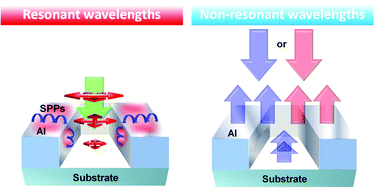Graphical abstract: Filter-free, junctionless structures for color sensing