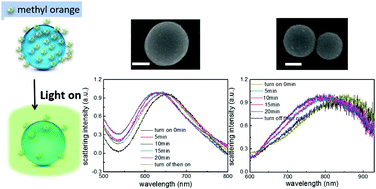 Graphical abstract: Plasmon resonances in semiconductor materials for detecting photocatalysis at the single-particle level