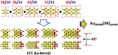Graphical abstract: Geometric structure, electronic structure and optical absorption properties of one-dimensional thiolate-protected gold clusters containing a quasi-face-centered-cubic (quasi-fcc) Au-core: a density-functional theoretical study