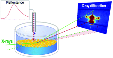 Graphical abstract: Tuneable 2D self-assembly of plasmonic nanoparticles at liquid|liquid interfaces