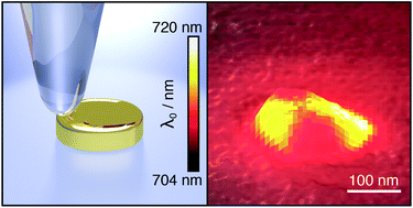 Graphical abstract: Mapping the local particle plasmon sensitivity with a scanning probe