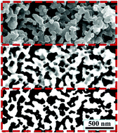 Graphical abstract: Characterization of nanoporous structures: from three dimensions to two dimensions