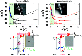 Graphical abstract: The influence of interfacial tensile strain on the charge transport characteristics of MoS2-based vertical heterojunction devices