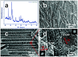 Graphical abstract: Prolonged fluorescence lifetime of carbon quantum dots by combining with hydroxyapatite nanorods for bio-applications