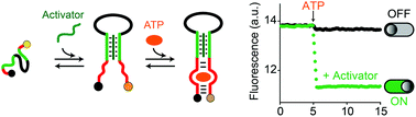 Graphical abstract: A modular clamp-like mechanism to regulate the activity of nucleic-acid target-responsive nanoswitches with external activators