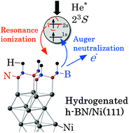 Graphical abstract: Direct observation of site-selective hydrogenation and spin-polarization in hydrogenated hexagonal boron nitride on Ni(111)