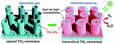 Graphical abstract: TiO2 nanotubes with laterally spaced ordering enable optimized hierarchical structures with significantly enhanced photocatalytic H2 generation