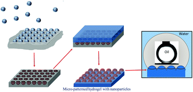 Graphical abstract: Hierarchical patterning of hydrogels by replica molding of impregnated breath figures leads to superoleophobicity