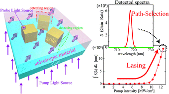 Graphical abstract: Path-selective lasing in nanostructures based on molecular control of localized surface plasmons