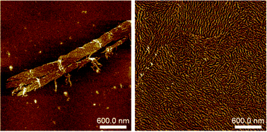 Graphical abstract: 2D DNA lattices constructed from two-tile DAE-O systems possessing circular central strands