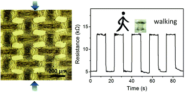 Graphical abstract: Stretchable and compressible strain sensors based on carbon nanotube meshes