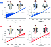 Graphical abstract: Probing driving forces in aerolysin and α-hemolysin biological nanopores: electrophoresis versus electroosmosis