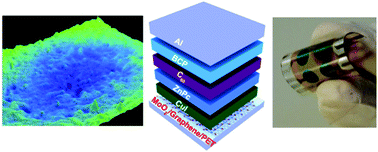 Graphical abstract: Efficient organic photovoltaic cells on a single layer graphene transparent conductive electrode using MoOx as an interfacial layer